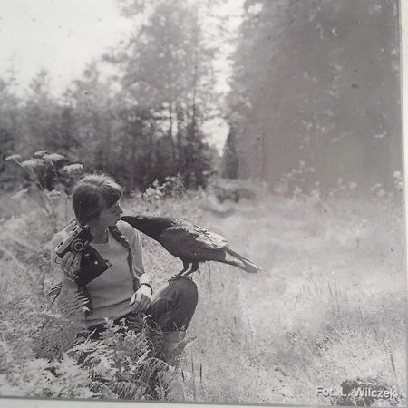 In Nature Białowieża Dış mekan fotoğraf