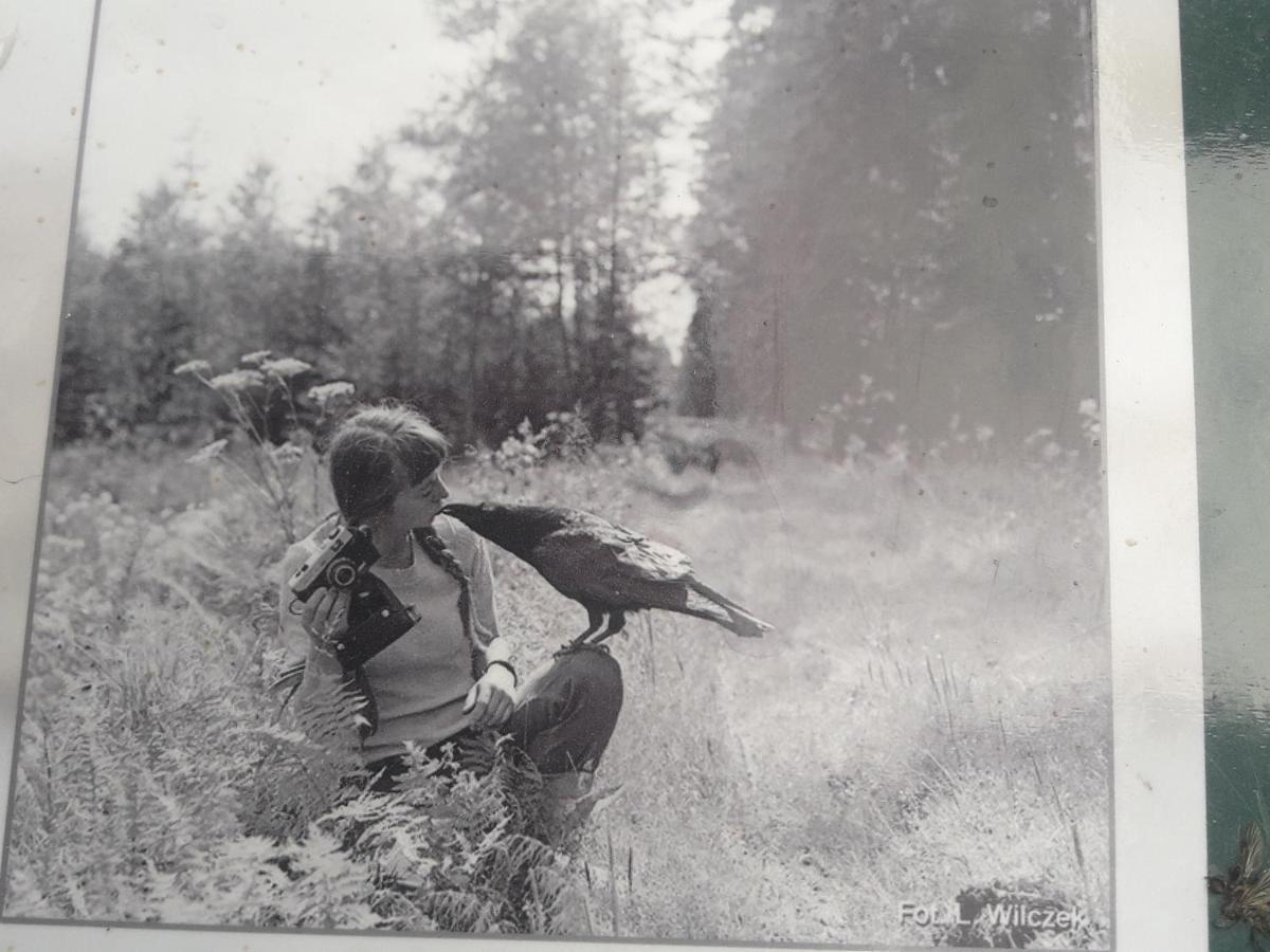 In Nature Białowieża Dış mekan fotoğraf