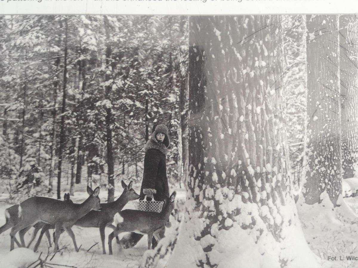 In Nature Białowieża Dış mekan fotoğraf