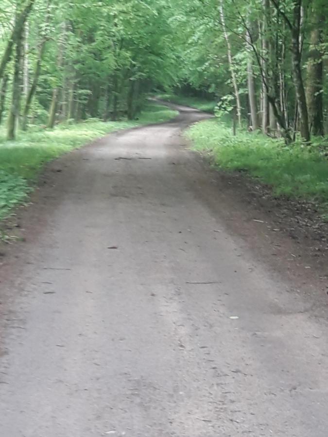 In Nature Białowieża Dış mekan fotoğraf